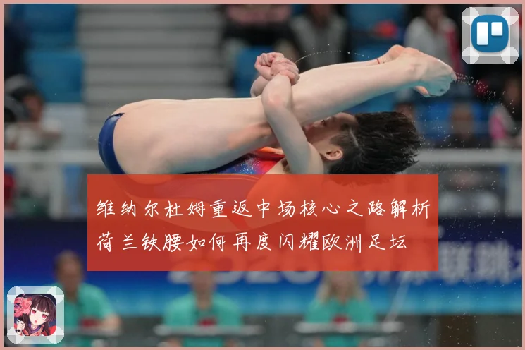 维纳尔杜姆重返中场核心之路解析荷兰铁腰如何再度闪耀欧洲足坛